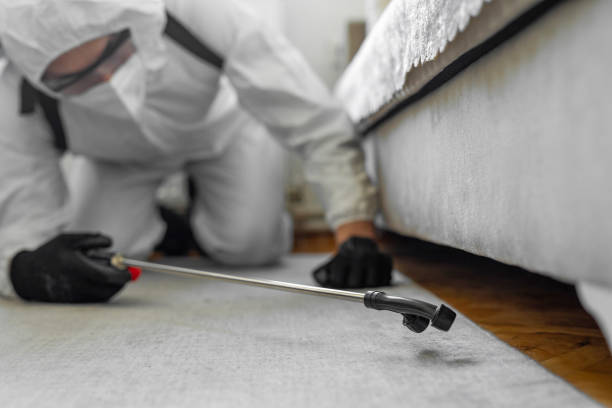 Professional Termite Control technician working in Arab, AL