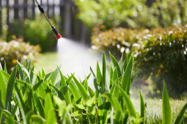24/7 Emergency Termite Control experts in Arab, AL