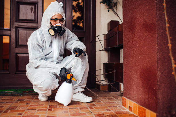 Reliable Termite Control contractor in Arab, AL by Nex Pest Control
