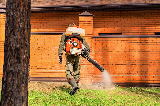 Trusted Cockroach Control service in Arab, AL - Nex Pest Control